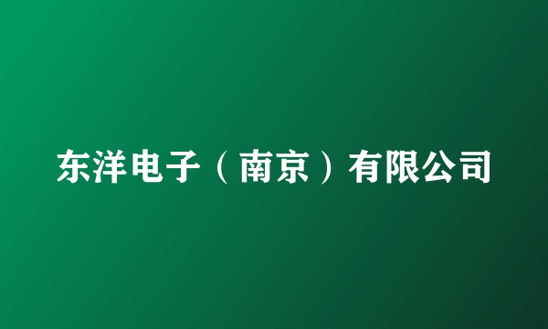 东洋电子（南京）有限公司