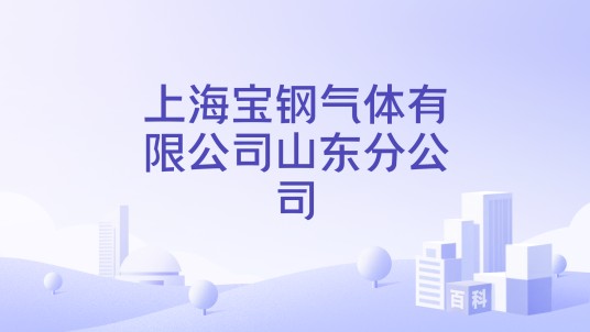 上海宝钢气体有限公司山东分公司
