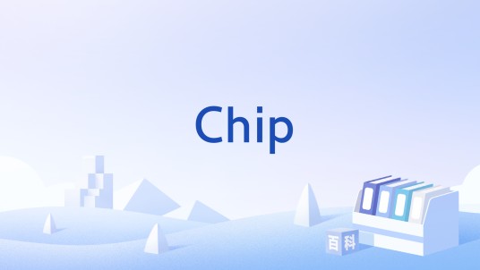 Chip（居民收入调查项目缩写）