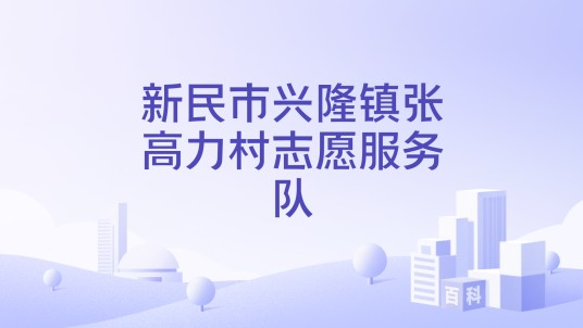 新民市兴隆镇张高力村志愿服务队