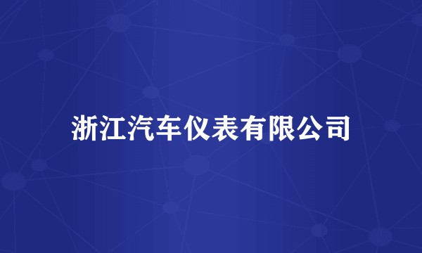 浙江汽车仪表有限公司