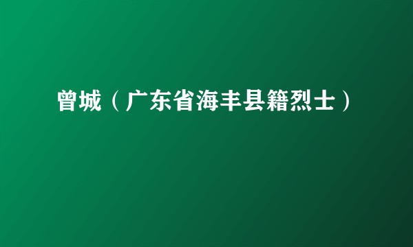 曾城（广东省海丰县籍烈士）