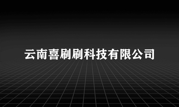 云南喜刷刷科技有限公司