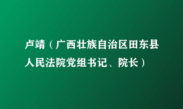 卢靖（广西壮族自治区田东县人民法院党组书记、院长）