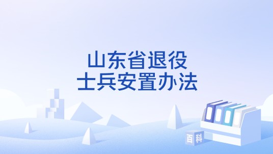 山东省退役士兵安置办法