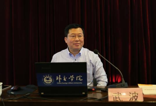 武波(外交学院英语系教授)