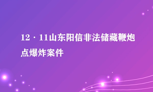 12·11山东阳信非法储藏鞭炮点爆炸案件