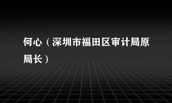 何心（深圳市福田区审计局原局长）