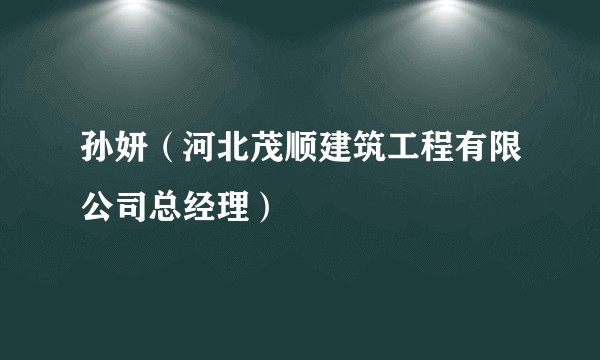 孙妍（河北茂顺建筑工程有限公司总经理）