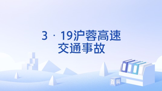 3·19沪蓉高速交通事故