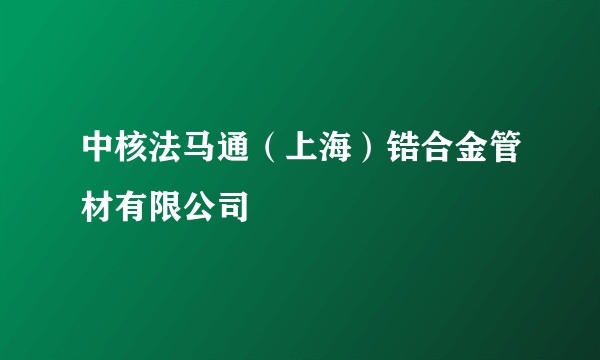 中核法马通（上海）锆合金管材有限公司