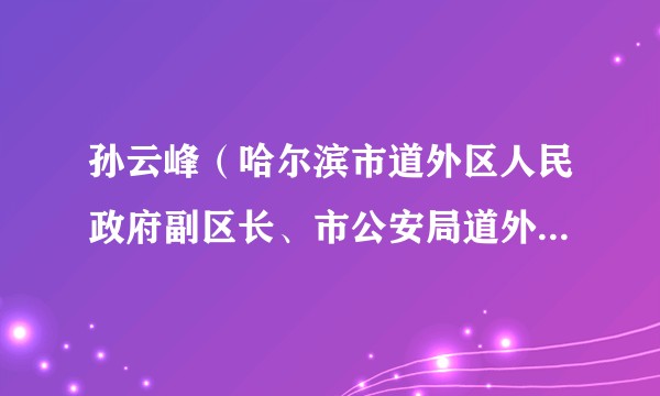 孙云峰（哈尔滨市道外区人民政府副区长、市公安局道外分局党组书记、局长）