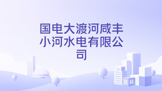 国电大渡河咸丰小河水电有限公司