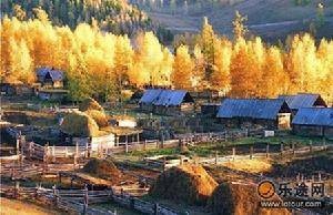 图瓦村