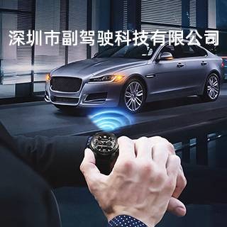 Copilot(汽车智能操控品牌)