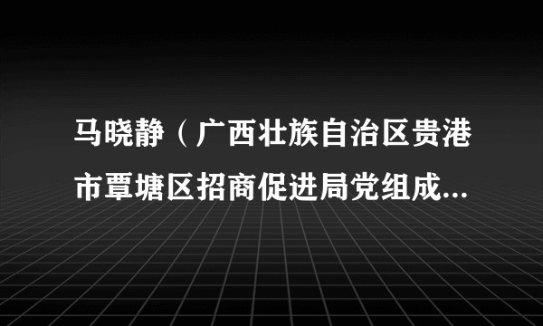 马晓静（广西壮族自治区贵港市覃塘区招商促进局党组成员、副局长）