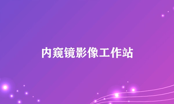 内窥镜影像工作站