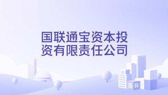 国联通宝资本投资有限责任公司
