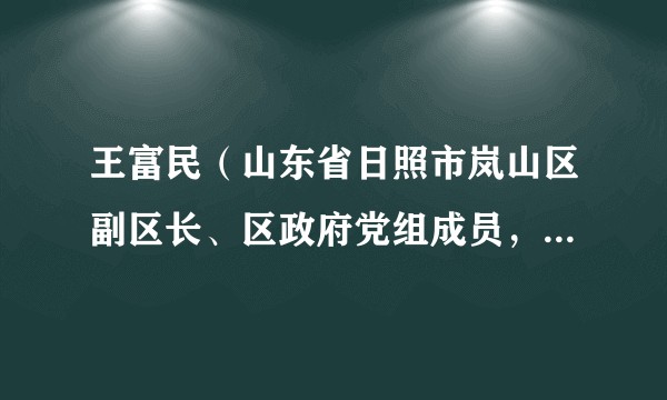 王富民（山东省日照市岚山区副区长、区政府党组成员，岚山公安分局局长、党委书记、督察长）