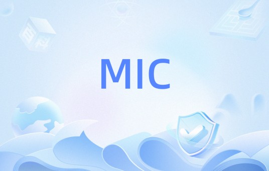 MIC(消息完整性检查英文缩写)