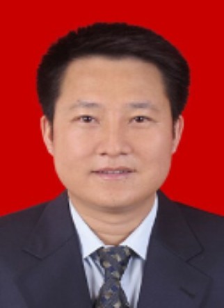 贾贵斌(广东省东莞市沙田镇原党委书记)