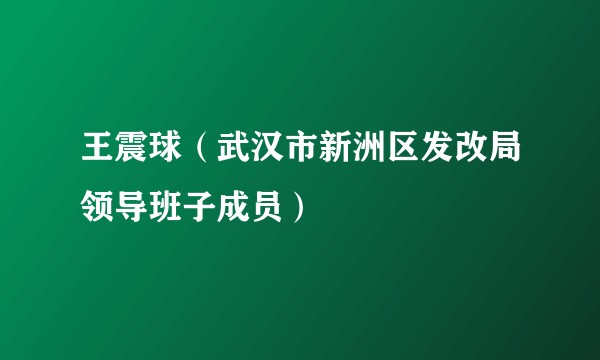 王震球（武汉市新洲区发改局领导班子成员）