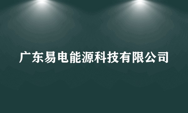 广东易电能源科技有限公司