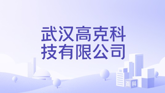 武汉高克科技有限公司