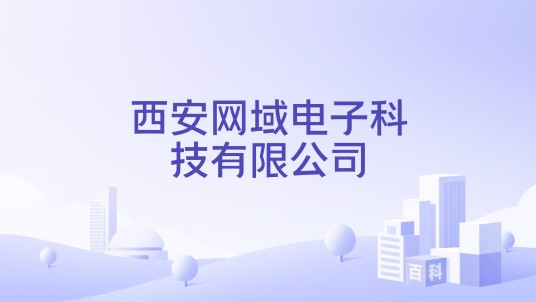 西安网域电子科技有限公司