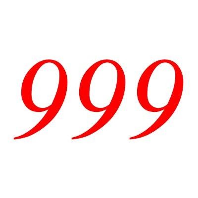 999（自然数之一）