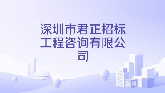 深圳市君正招标工程咨询有限公司