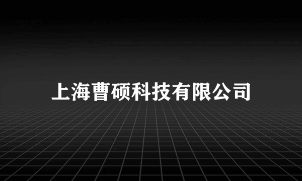 上海曹硕科技有限公司