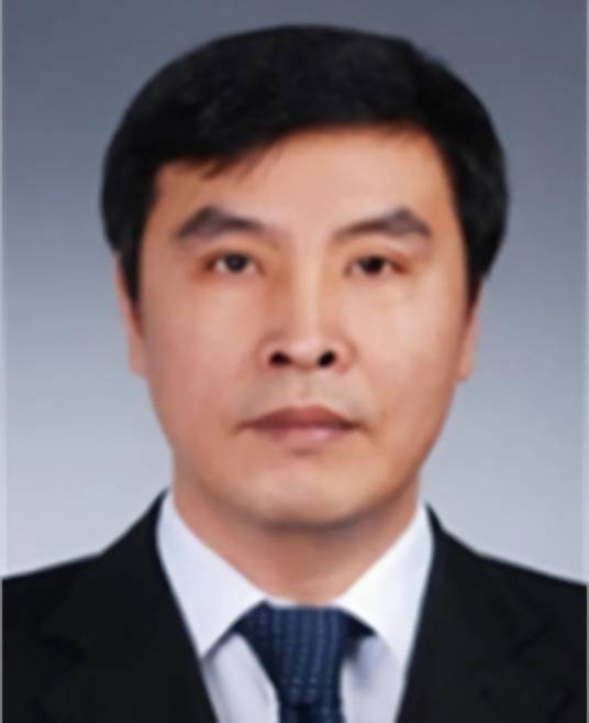 魏彬（天津市滨海新区副区长）