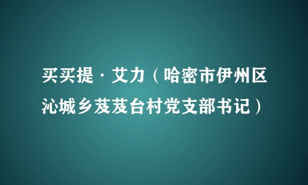 买买提·艾力（哈密市伊州区沁城乡芨芨台村党支部书记）