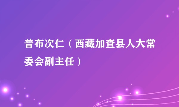 普布次仁(西藏加查县人大常委会副主任)