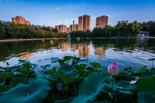 青年湖（位于山东省菏泽市老城区西南部的天然湖泊。）