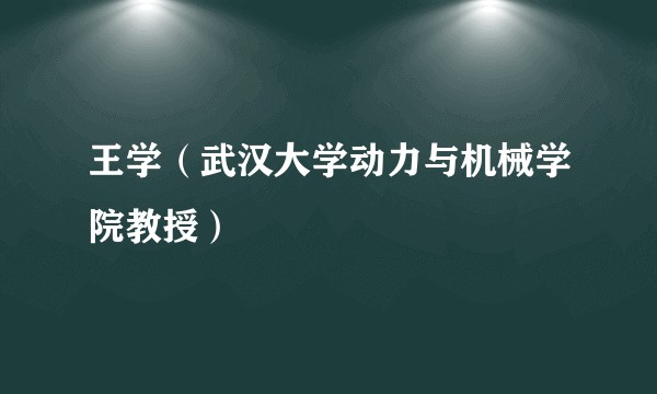 王学（武汉大学动力与机械学院教授）