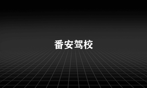 番安驾校