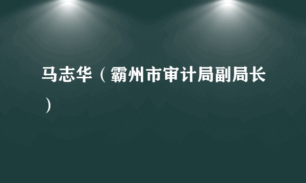 马志华（霸州市审计局副局长）