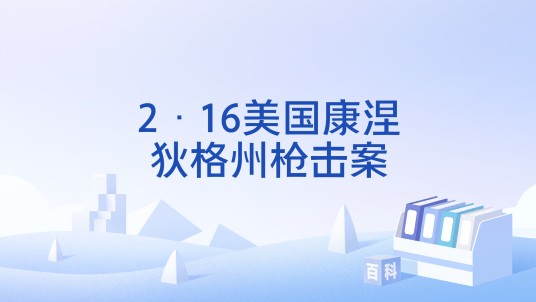 2·16美国康涅狄格州枪击案