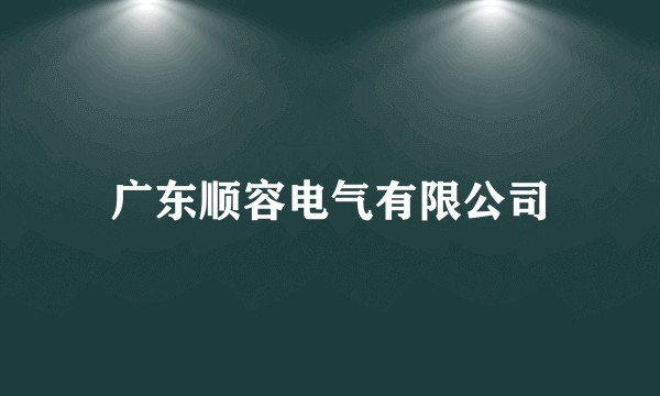 广东顺容电气有限公司