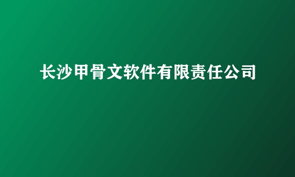 长沙甲骨文软件有限责任公司