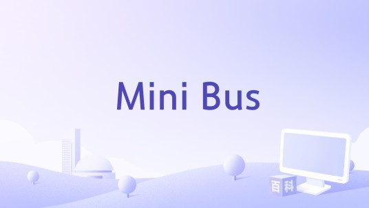 Mini Bus