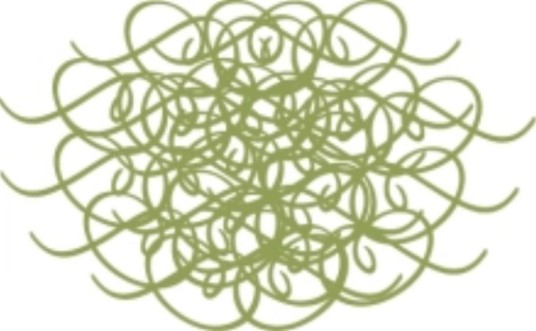 金兴(金兴视频制作组)