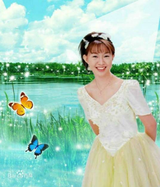 蝶儿蝶儿满天飞（卓依婷翻唱歌曲）