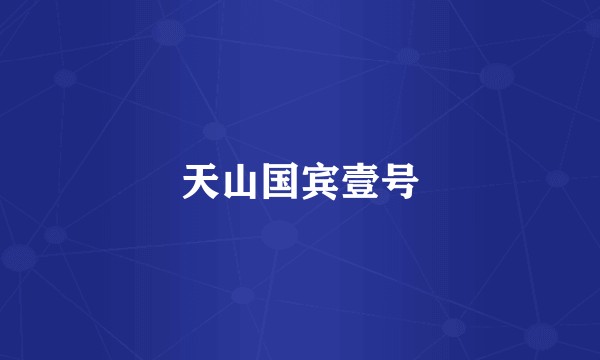 天山国宾壹号