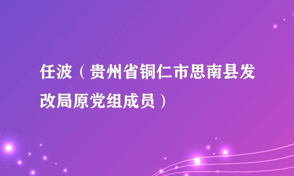 任波（贵州省铜仁市思南县发改局原党组成员）