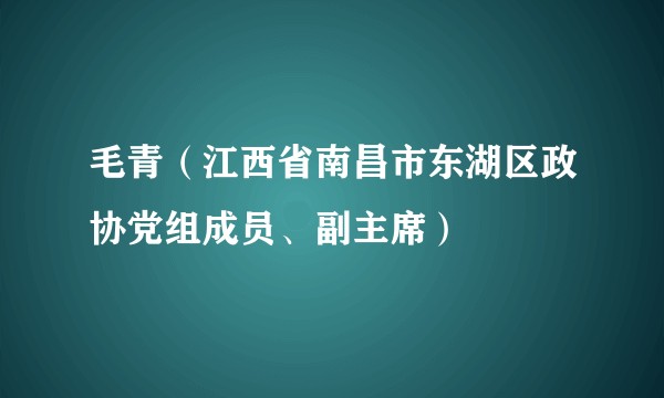 毛青（江西省南昌市东湖区政协党组成员、副主席）