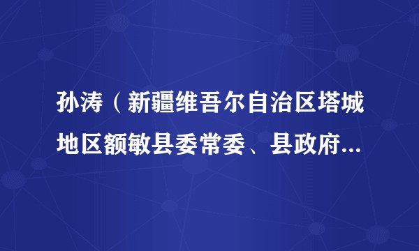 孙涛（新疆维吾尔自治区塔城地区额敏县委常委、县政府副县长）