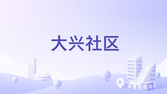 大兴社区（上海市黄浦区老西门街道下辖社区）